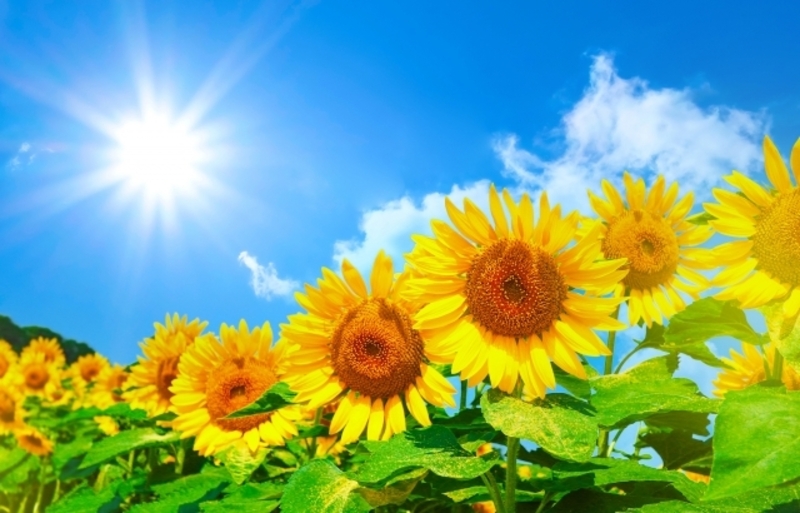 ＊夏休み特別企画＊30分無料個別お話会