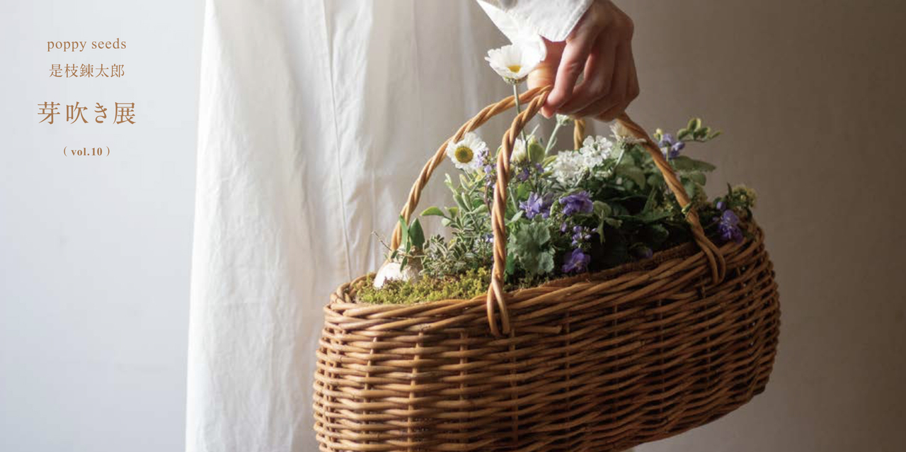 2/10-2/12 poppy seeds・是枝錬太郎「芽吹き展 vol.10」【来店時間抽選お申し込み﻿】