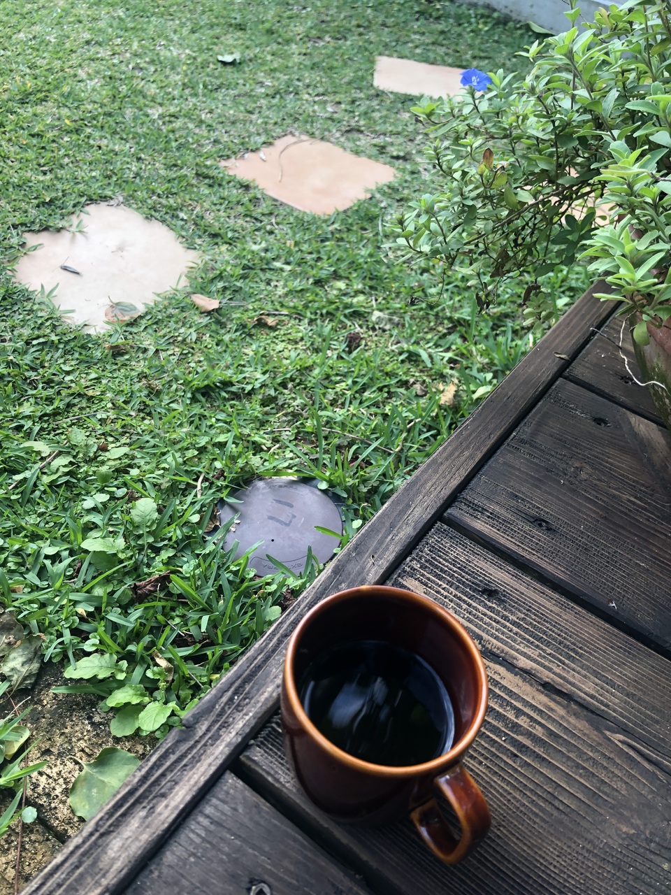 セッションご予約ページ