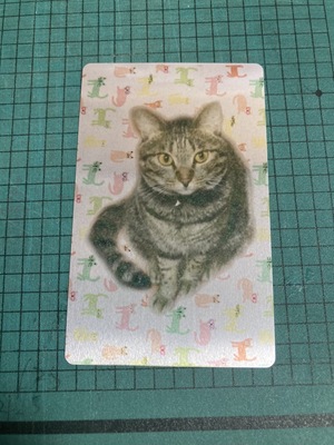 カップルでマグカップつくる教室